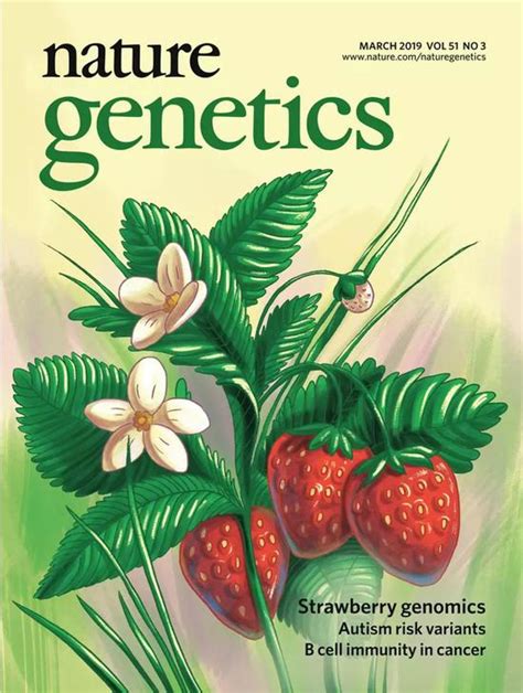 Nature期刊封面 的图像结果