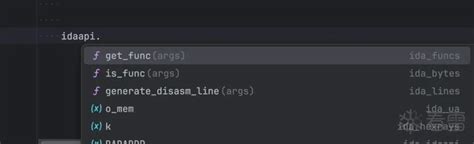 Image result for IDAPython