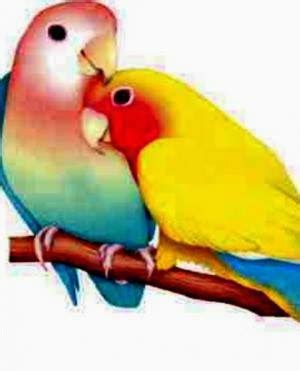 Image result for Hardest Coding Language Big Script