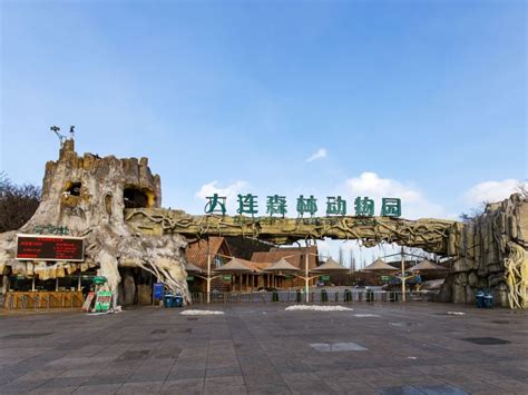 中国最值得去的10大动物园 大连森林动物园上榜第一清朝开放 - 手工客
