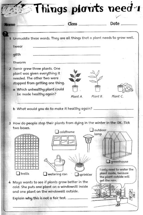 3Rd Class Science Worksheets