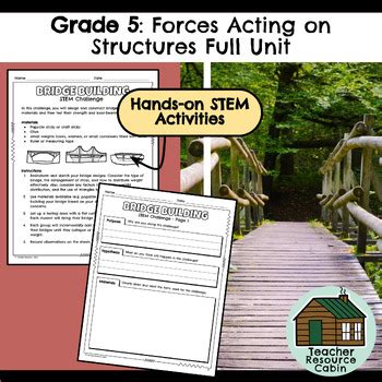Image result for Forces and Structures Grade 5