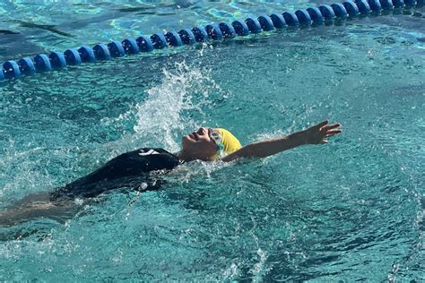 Image result for Pool Stroke Lessons