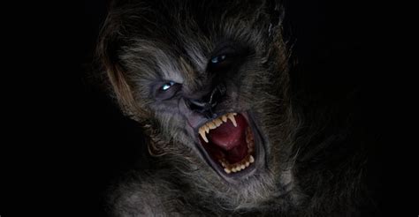 Image result for Watch Wolves Online Free