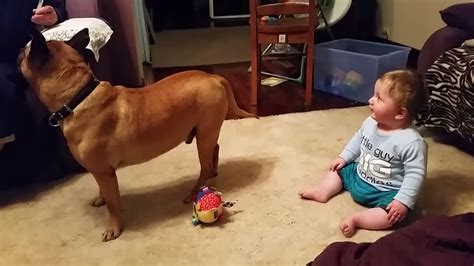 Babies Laughing At Dogs