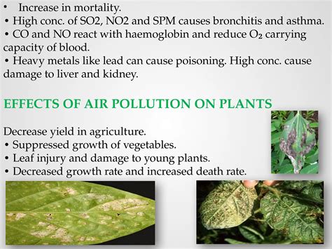 Main Types of Pollution 的图像结果