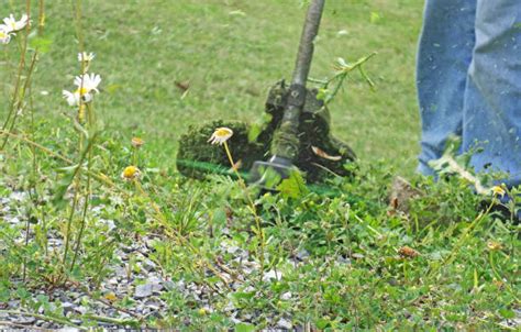 Image result for Pictures for Whacking To