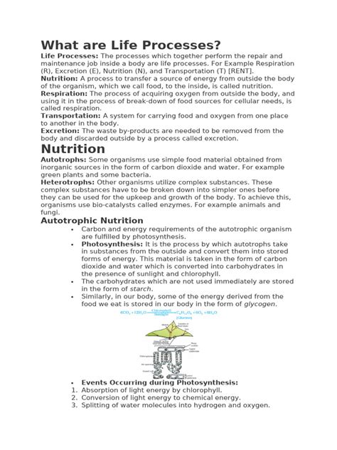 Life Process Explained 的图像结果