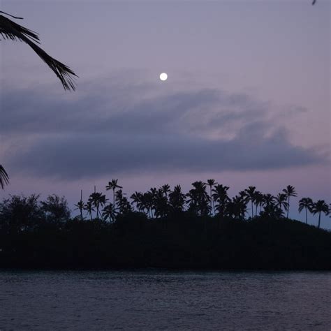 KING'S BEACH VILLAS (Muri, Rarotonga, Cook Islands) - Hotel Reviews ...