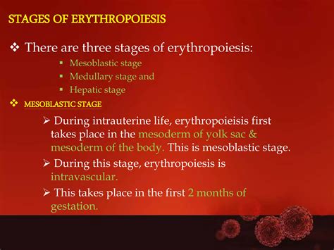 Erythropoiesis | PPTX