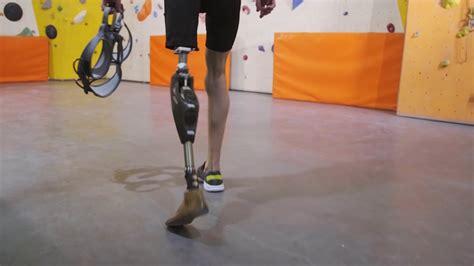 Gym Vide 的图像结果