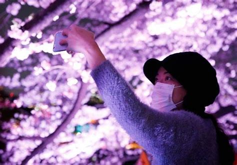 Visual tour of Tokyo in the season of cherry blossoms | IndiaToday