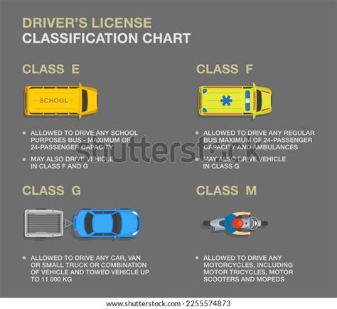 Basic Driving Rules 的图像结果
