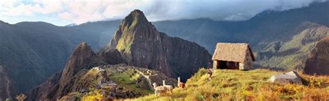 Image result for Colorama Examples