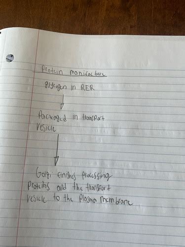 Image result for Bio Chapter 4 Quiz