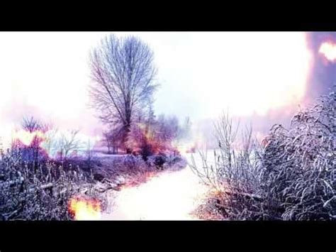 Image result for ASMR Springbok