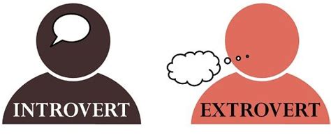 Image result for Introvert vs Extrovert Differences