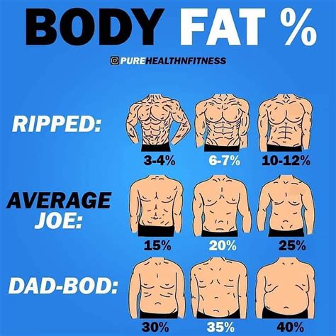 25 Percent Body Fat