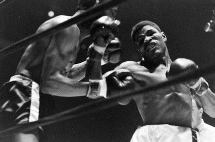 Professional Boxing 的图像结果