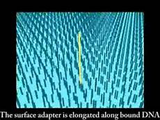 illumina solexa illumina solexa sequencing illumina solexa illumina solexa sequencing