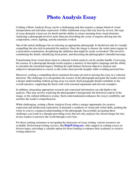 Photo Analysis Essay Example 的图像结果
