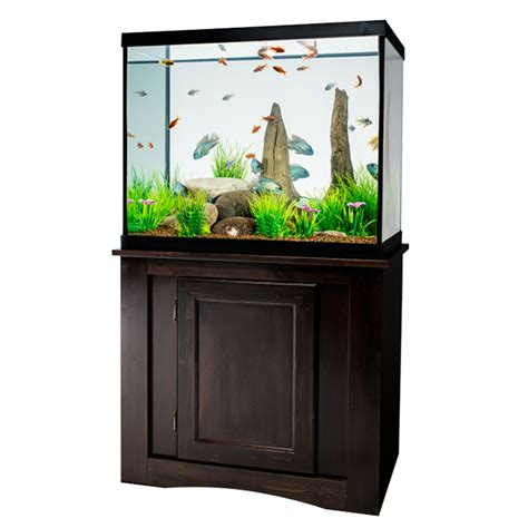 A Simple Guide For Setting Up Of A 37 Gallon Aquarium - Fishxperts
