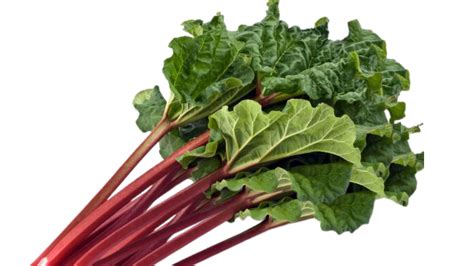 Metagenics Estrovera: A Natural Remedy for Menopause Symptoms