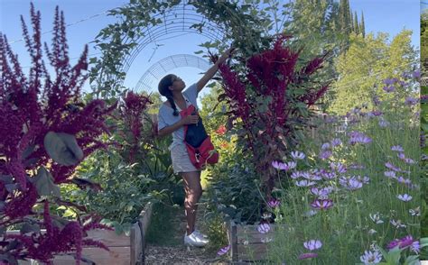 8 No Fuss Ways to Enjoy Gardening While Pregnant - Vegkin