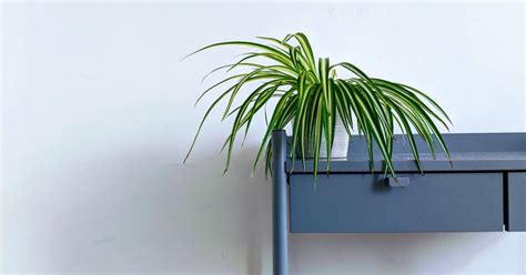 Image result for Examples of Minimizing