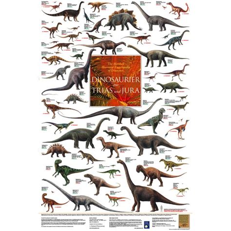 Dinosaurs from Triassic and Jurassic Poster laminated - Posters buy now ...