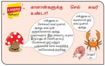 கார்போஹைட்ரேட்டுகள் - உயிரி மூலக்கூறுகள் | Carbohydrates - Biomolecules ...