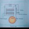 5. Draw a labelled diagram of an electric bell and explain its working ...