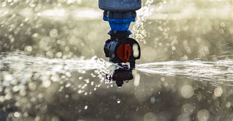 Image result for Sprinkler Accelerator