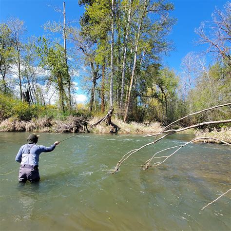 BLOG & Yakima River Fishing Report — Red's Fly Shop
