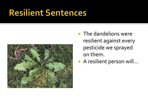 PPT - Building Character: Words of Wisdom and Resilience PowerPoint ...