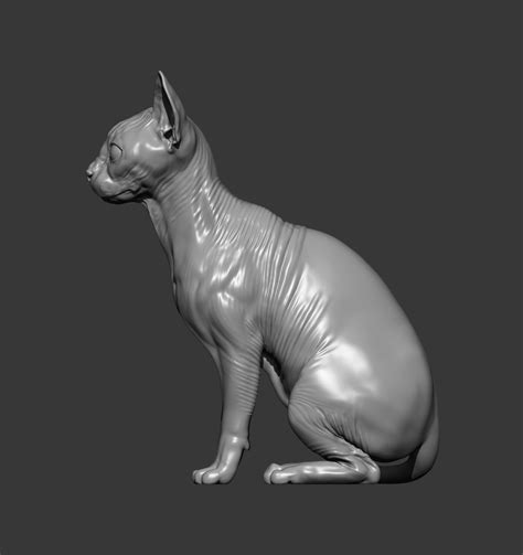 🐱 SPHINX CAT 3D PRINT MODEL・Бесплатный STL для ・Cults
