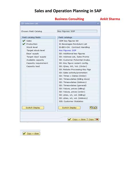 Sales and Operation Planning in SAP | PDF