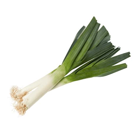 Leek PNG