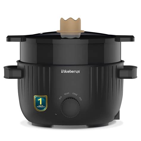 Blueberry's Multi-Purpose Electric Cooking Pot Kettle – blueberry's