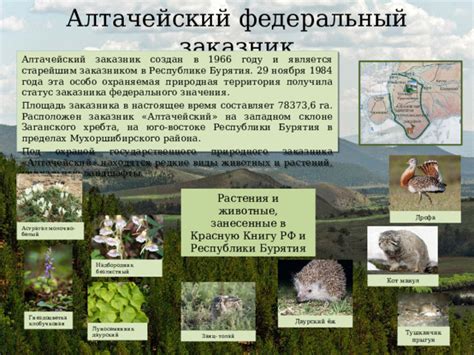 Презентация "Моя Красная Книга"