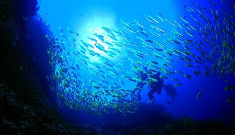 地球70％都是海洋，人类对海洋的了解有多少？海洋最深处有什么？