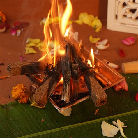 Mango Hawan Wood - ServDharm
