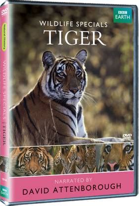 Wildlife Specials - Tiger Price in India - Buy Wildlife Specials ...