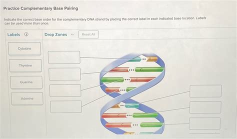 Image result for Complementary Strand