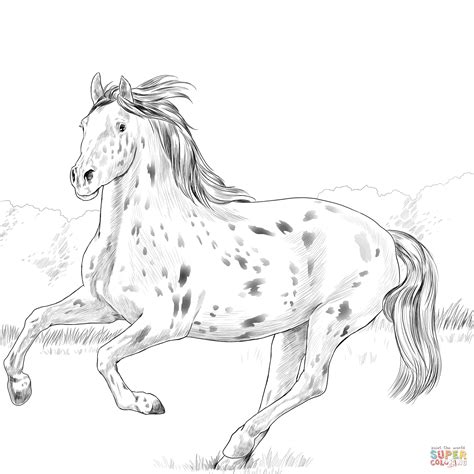 Realistic Horse Coloring Pages Paint Coloring Pages