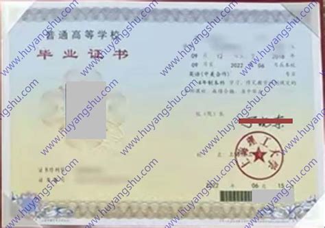上海理工大学历届毕业证样本图片-胡杨树样本网