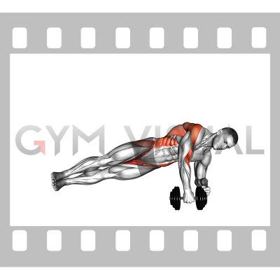 Dumbbell Side Plank Row (male)