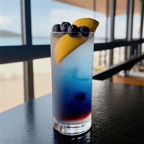 Blueberry Energizer, Refreshing gin cocktail with blueberries and Red ...