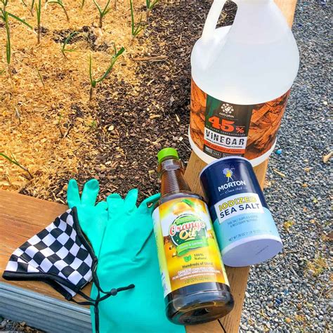 The Best Homemade Weed Killer (Easy and All-Natural!) - Growfully