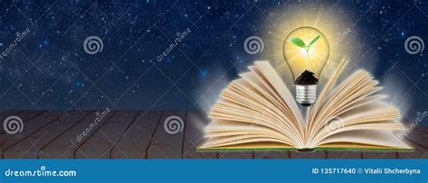 Knowledge Light Bulb 的图像结果